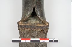 Foto von Bimetalllappenbeil (NHMW-PRAE-025839)